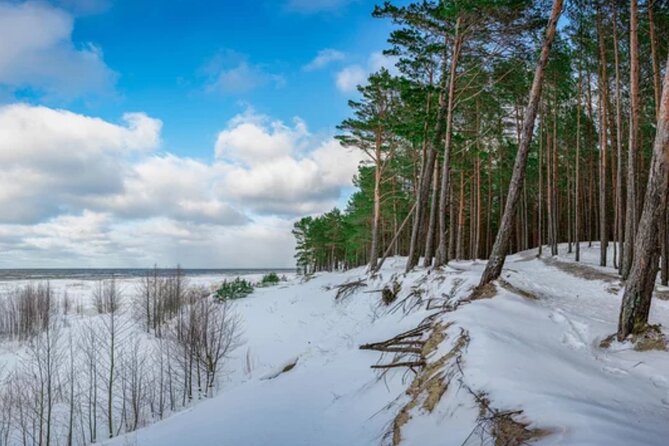 Best of Latvia, Jurmala, Kemeri N Park, Kuldiga City, Food & More - Should You Book Best of Latvia? My Decision Guide