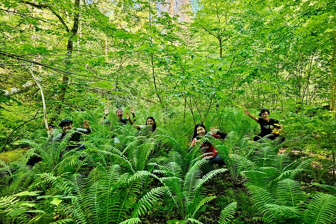 Discover Best Of Gauja National Park In One Day - Price and Value: What $258.88 Covers (and What It Doesn’t)