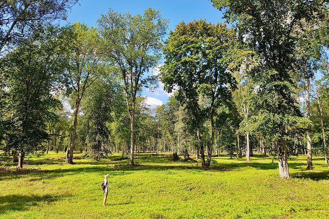 Discover Best Of Gauja National Park In One Day - Pickup Timing in Riga: Plan for an Early Start