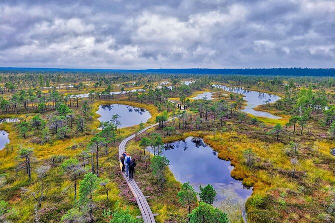 From Riga: Best of Kemeri National Park In One Day - A one-day escape that takes you beyond Riga’s city feel