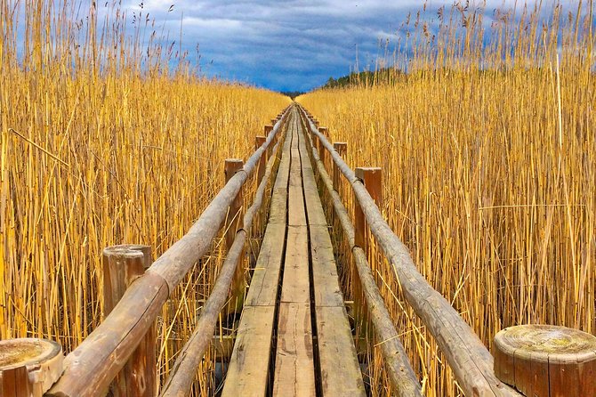 From Riga: Best of Kemeri National Park In One Day - Kemeri National Park: the Great Kemeri Bog Boardwalk walk