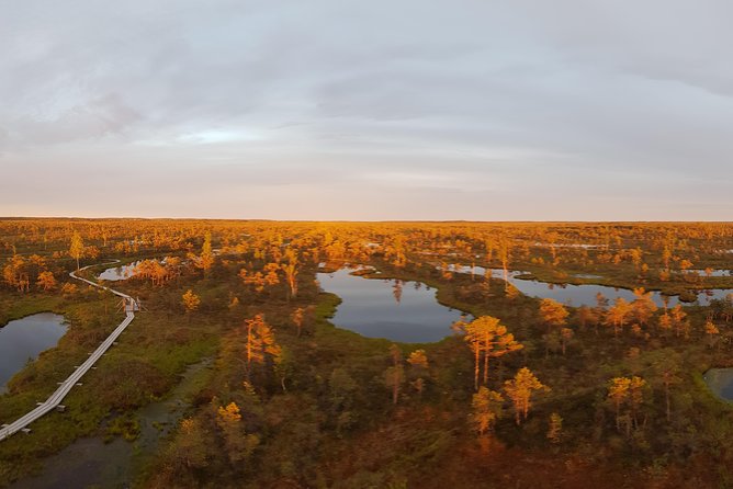 From Riga: Best of Kemeri National Park In One Day - Ragaciems and the Gulf of Riga coast, sand and pine air