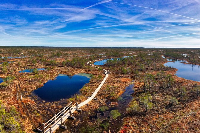 From Riga: Best of Kemeri National Park In One Day - The improv-travel approach, small group size, and why it feels personal