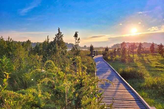 From Riga: Best of Kemeri National Park In One Day - Price and value: is $235.33 worth it for a one-day nature tour?