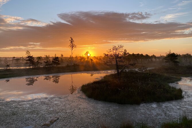From Riga: Kemeri Bog Boardwalk and Jurmala Seaside - Getting started: location, timing, and the small-group vibe