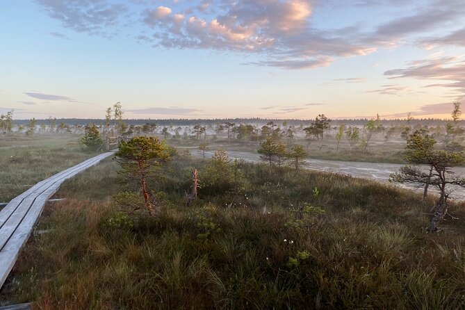 From Riga: Kemeri Bog Boardwalk and Jurmala Seaside - Stop 1, Ķemeri Bog Boardwalk: Latvia’s wetland world up close