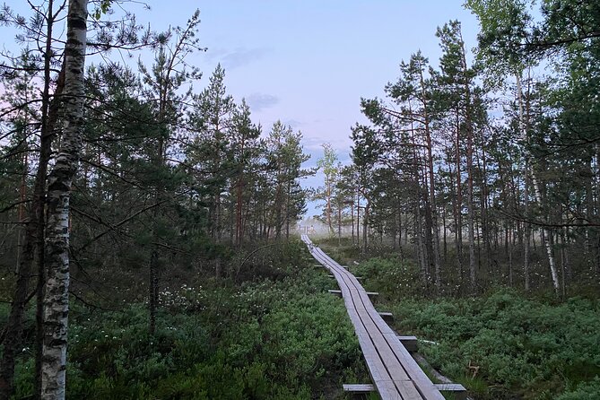 From Riga: Kemeri Bog Boardwalk and Jurmala Seaside - Price and what you actually get for $114.28