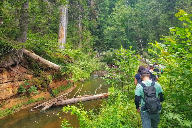 Full Day Gauja National Park Ultimate Hiking & Sightseeing Trip - This is the kind of day trip you plan for, not rush through