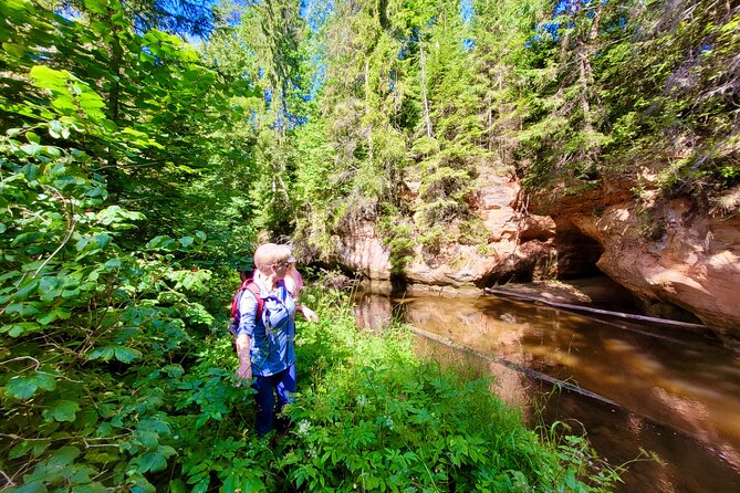 Full Day Gauja National Park Ultimate Hiking & Sightseeing Trip - Ergļu Cliffs and the Gauja River: pine air, sandstone, and long views