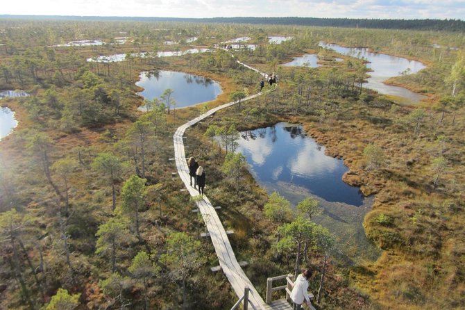 Full-Day Private Trip to Jurmala, Fisherman Villages and Nature Trails from Riga - How the stop timing shapes your day (and how to plan for it)