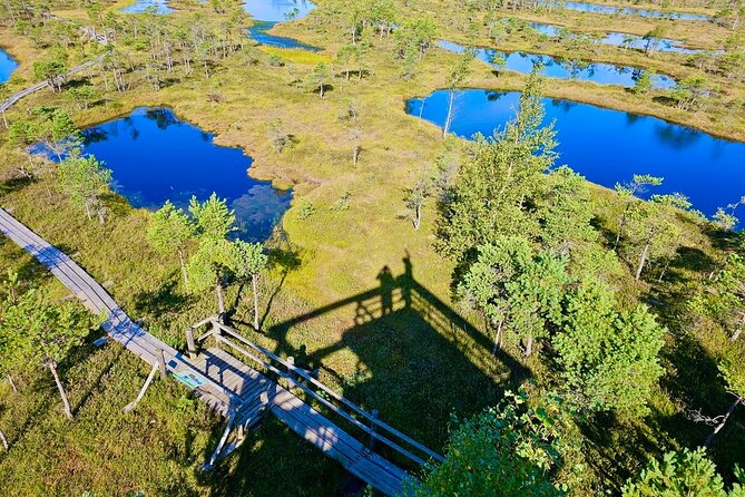 Great Ķemeri Bog and Swamp Forest Hiking Adventure - Stop 1: Great Ķemeri Bog boardwalk walk through a peat world