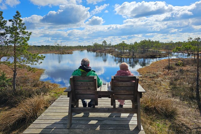 Great Ķemeri Bog and Swamp Forest Hiking Adventure - The guide makes it: ecosystems, trees, and Latvian context