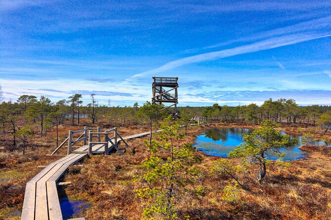 Great Ķemeri Bog and Swamp Forest Hiking Adventure - Best seasons to plan: bog year-round, flooded forest by month