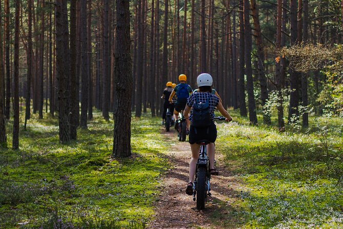 Guided Ebike Tour on Forest Roads and Trails Near Riga - White Dune near Lielupe: the 17 meter stop that changes the vibe