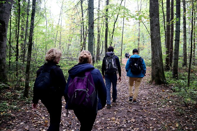 Hike In Gauja National Park - Up And Down The Switzerland Of Latvia - Breaks and food reality: water and lunch not included, but breaks happen