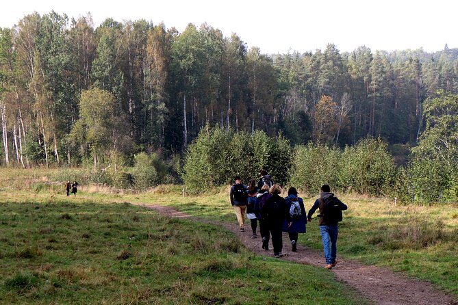 Hike In Gauja National Park - Up And Down The Switzerland Of Latvia - Weather and season: why timing matters in Gauja National Park
