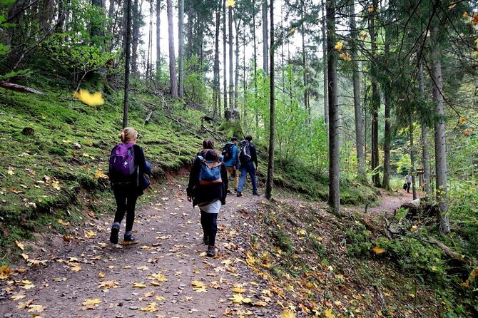Hike In Gauja National Park - Up And Down The Switzerland Of Latvia - The 15 km Gauja hike: river walks, bridges, bluffs, and viewpoint payoff