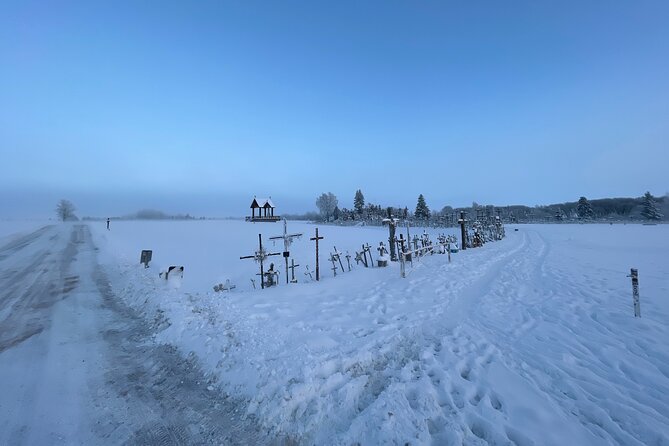Hill of Crosses and Jelgava Gems Tour - 2 countries in 1 day - Price and logistics: good value, with one planning note