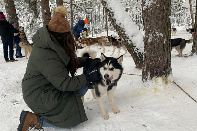 Husky dog sled/bike kart ride in Latvia ~ 3h group tour from Riga - Getting out of Riga: the drive to Ogres Zilie Kalni