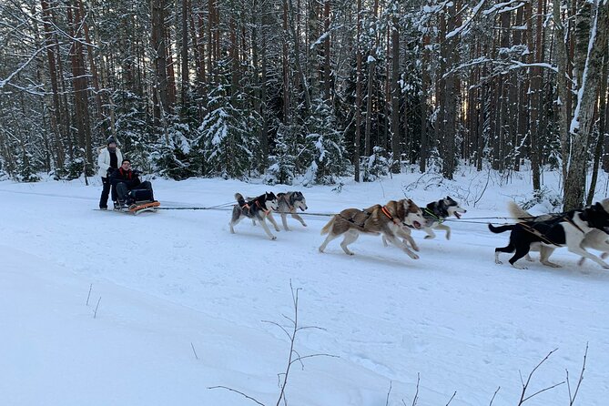 Husky dog sled/bike kart ride in Latvia ~ 3h group tour from Riga - Transportation and timing: what the 3 hours really means