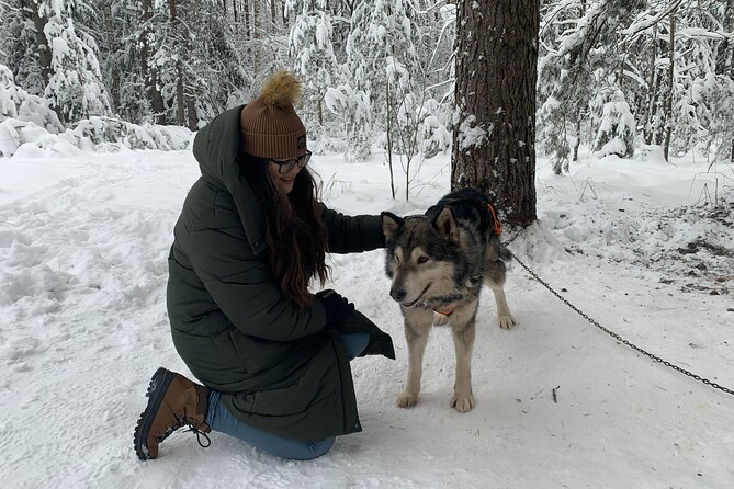 Husky dog sled/bike kart ride in Latvia ~ 3h group tour from Riga - What to wear in -17 cold (and what you can rent)