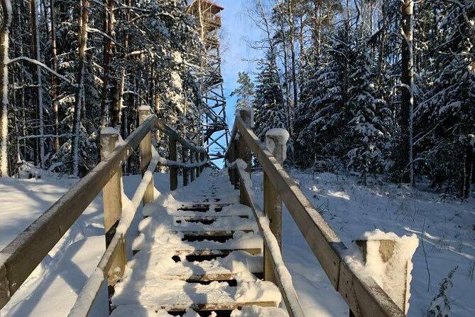 Husky dog sled/bike kart ride in Latvia ~ 3h group tour from Riga - Arriving at the dogs: first contact and safety prep
