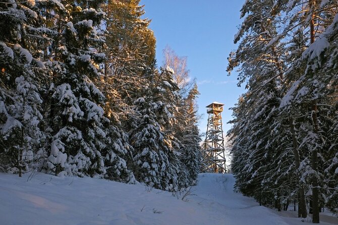 Husky Dog Sledding Tour From Riga - Private tour value: what $174.15 per person buys you