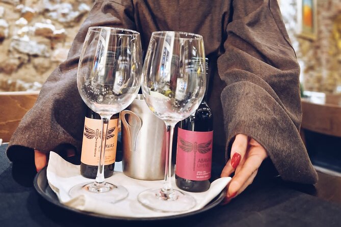 Latvian Wine Adventure: Discovering the Best of Baltic Wines - Logistics that affect your comfort: mobile ticket, private group, and public transport