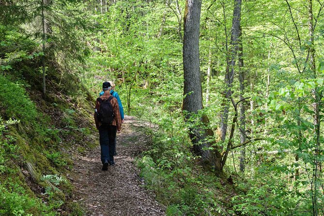 Private Full-Day Hiking Tour in Sigulda and Gauja National Park - Key highlights you should care about