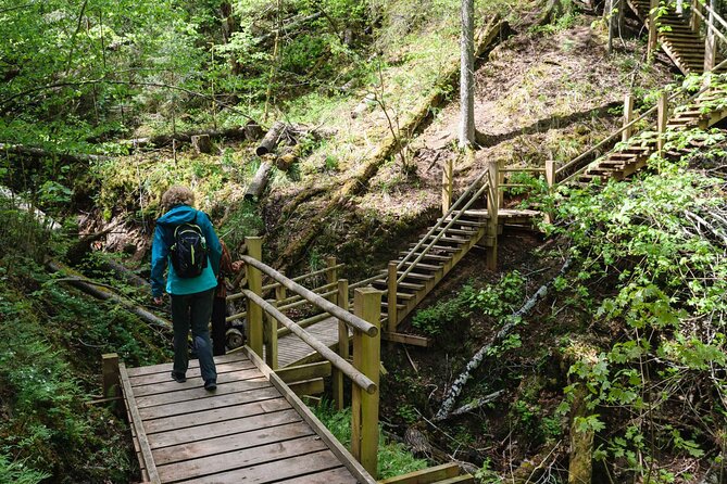 Private Full-Day Hiking Tour in Sigulda and Gauja National Park - Gauja National Park walking: where bird-song and river views do the work