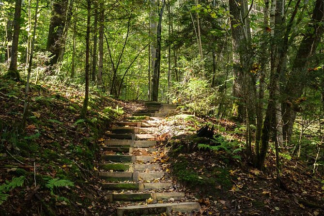 Private Full-Day Hiking Tour in Sigulda and Gauja National Park - What you actually get from a guide like Rihard