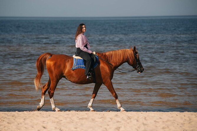 Private Horse Riding on the Beach in Riga - Key Things That Make This Ride Work
