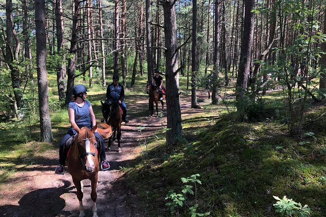 Private Horse Riding on the Beach in Riga - Included Extras That Actually Add Value