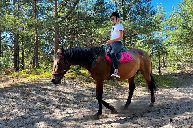 Private Horse Riding on the Beach in Riga - Weather, Timing, and Booking Smart in Riga