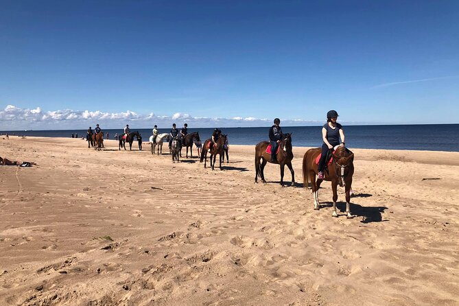 Private Horse Riding on the Beach in Riga - Getting Mounted and Learning the Rhythm: Beginner Confidence, Not Guesswork