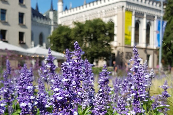 Riga Sightseeing Tour for First Time Visitors - What You Should Expect from the Guide Experience
