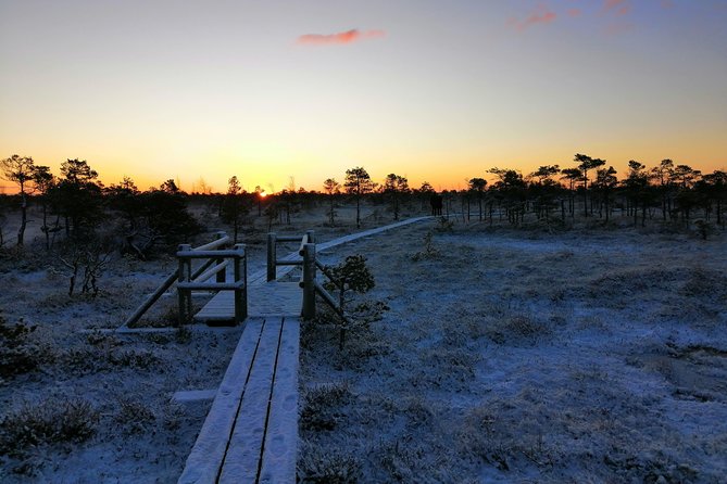 Sunrise at Kemeri National park + Jurmala - How the 3:30 AM start shapes the whole day