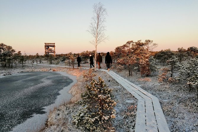 Sunrise at Kemeri National park + Jurmala - Kemeri National Park sunrise: bog silence, two hike lengths, and tower views