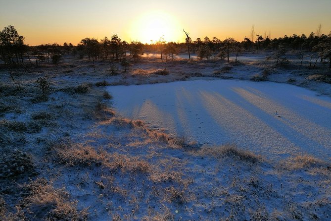 Sunrise at Kemeri National park + Jurmala - Jurmala Beach summer swim: a quick Baltic dip that feels like a win
