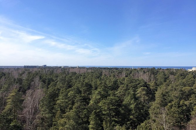 Sunrise at Kemeri National park + Jurmala - What you get for $131.81: value beyond the headline price