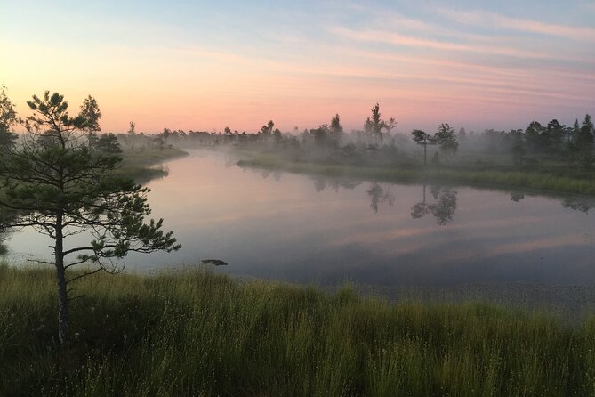 Sunrise at Kemeri National Park - Small Group - Getting to Kemeri in Comfort, Not in a Rush