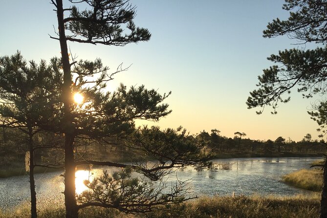 Sunrise at Kemeri National Park - Small Group - Your Guide and the Small-Group Rhythm