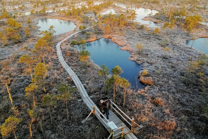 Sunrise at Kemeri National Park - Small Group - Price and Value: What You Pay for, and Why It Feels Fair