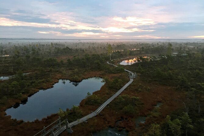 Sunrise at Kemeri National Park - Small Group - What to Do About Breakfast (and Morning Energy)