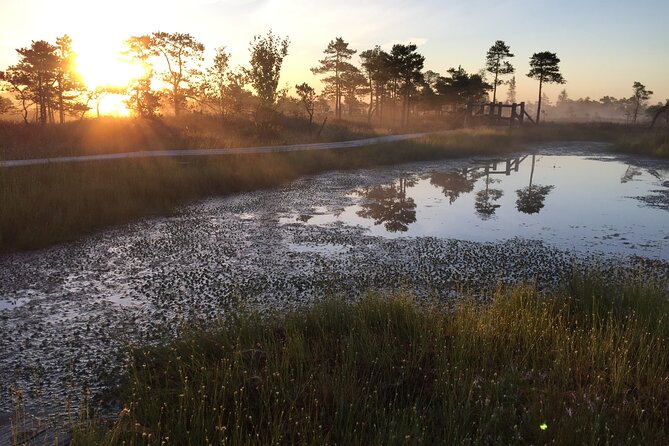 Sunrise at Kemeri National Park - Small Group - Weather and Timing: How This Tour Handles Real-World Conditions