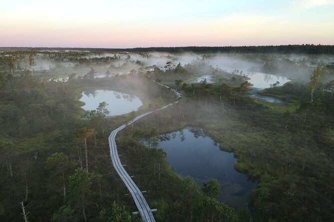 Sunrise at Kemeri National Park - Small Group - Walking the Great Kemeri Bog Boardwalk at First Light