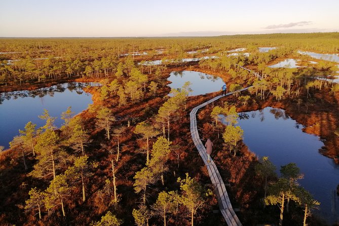 Sunset at Kemeri National Park - Stop 1 at Kemeri Bog: the boardwalk walk you came for