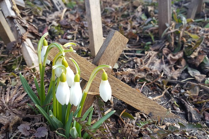 Tour from Riga - Vilnius via Bauska, Rundale, The Hill of Crosses - Bauska Castle: ducal residence, Livonian ruins, and war scars