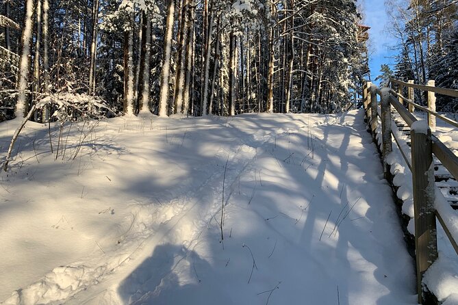 Ultimate Husky dog sledding experience in Latvia - Private tour from Riga - Should You Book This Riga Husky Ride Tour?
